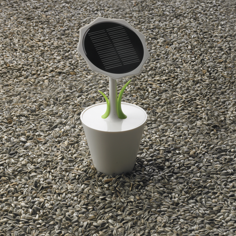 Chargeur solaire Tournesol - Toy-Viam