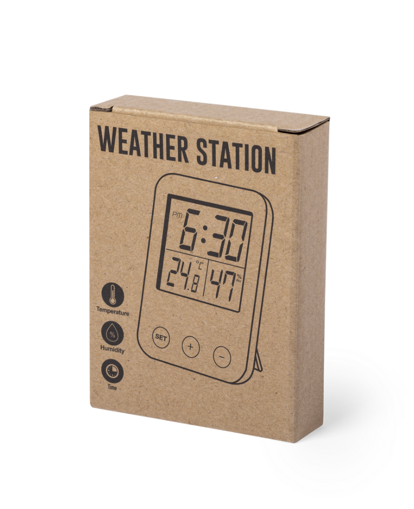 Bamboo Weather Station - Scarborough