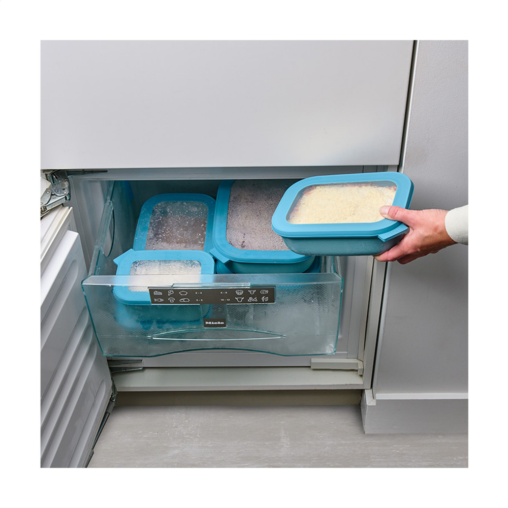 Durable Plastic Storing Box or Lunch Box with Lid - Eastleach