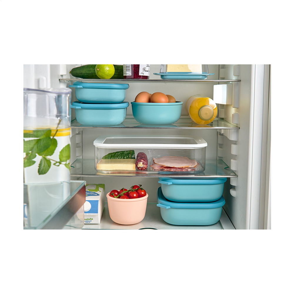 Durable Plastic Storing Box or Lunch Box with Lid - Eastleach