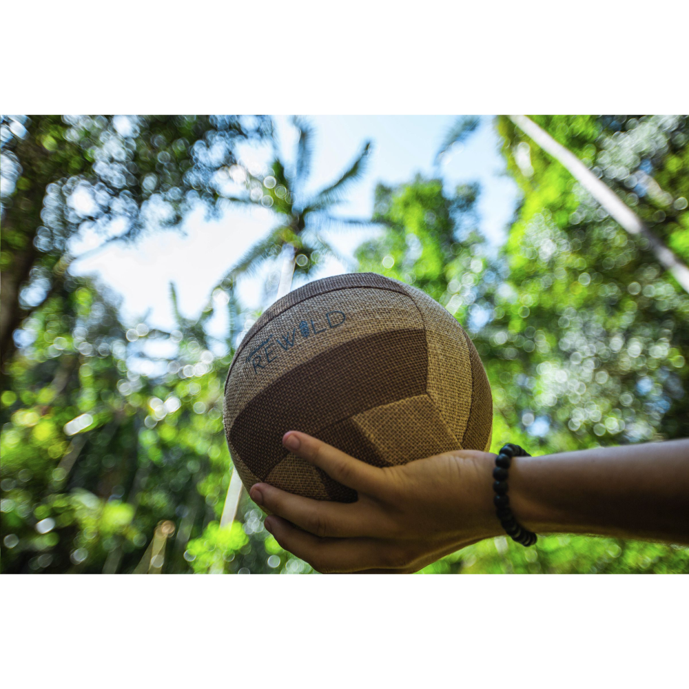 Personalisierter Volleyball - Aura