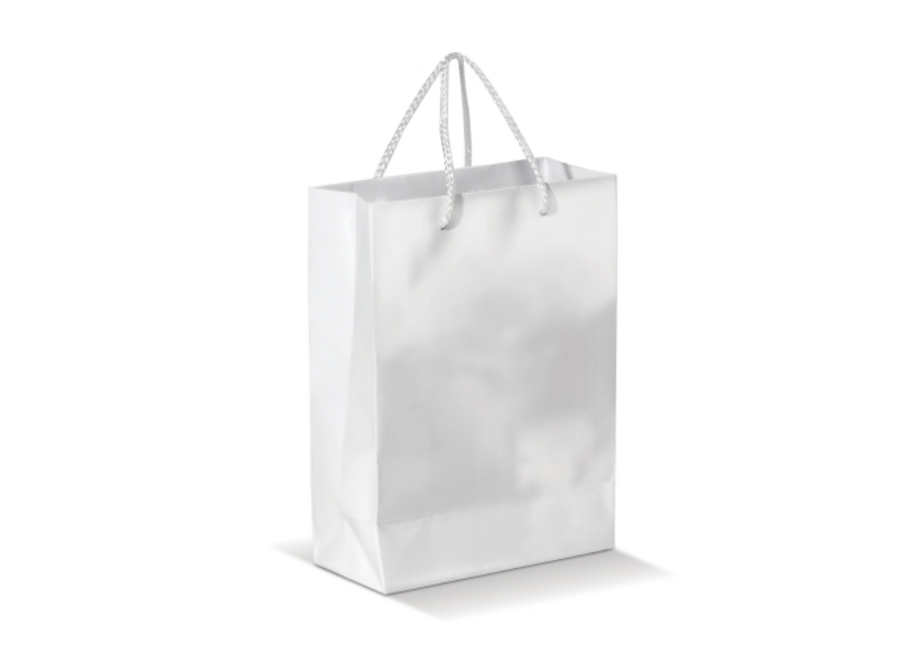 Glossy Laminated Large Paper Bag with Rope Handles - Netherseal