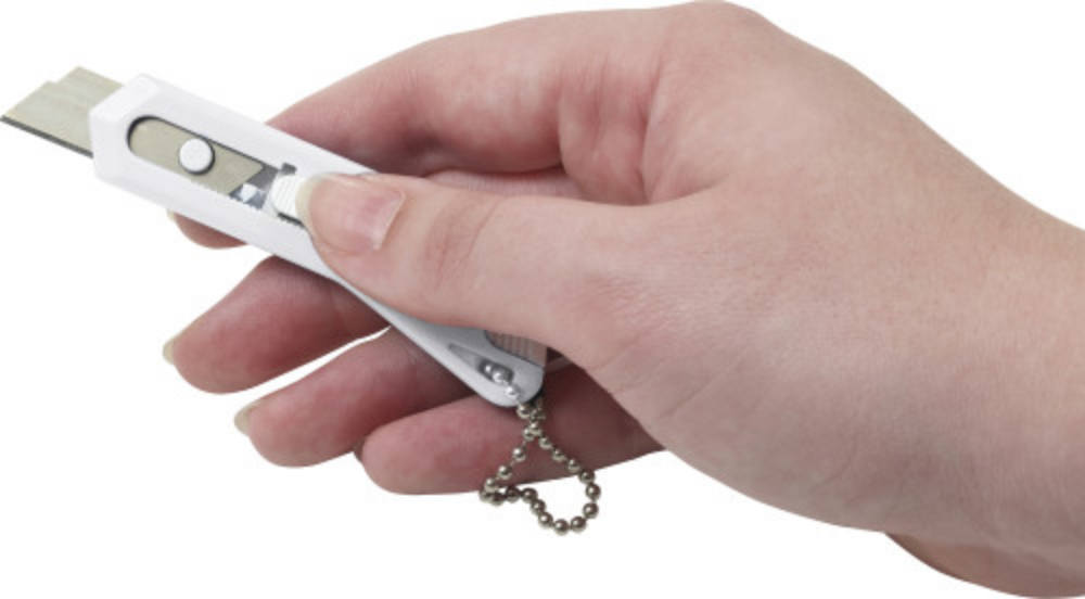 Small Knife Keychain - Abberley - Paston