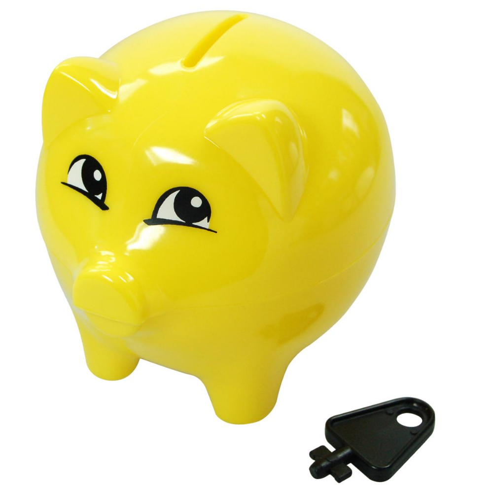 Printed Plastic Piggy Bank with Matching Key - East Meon