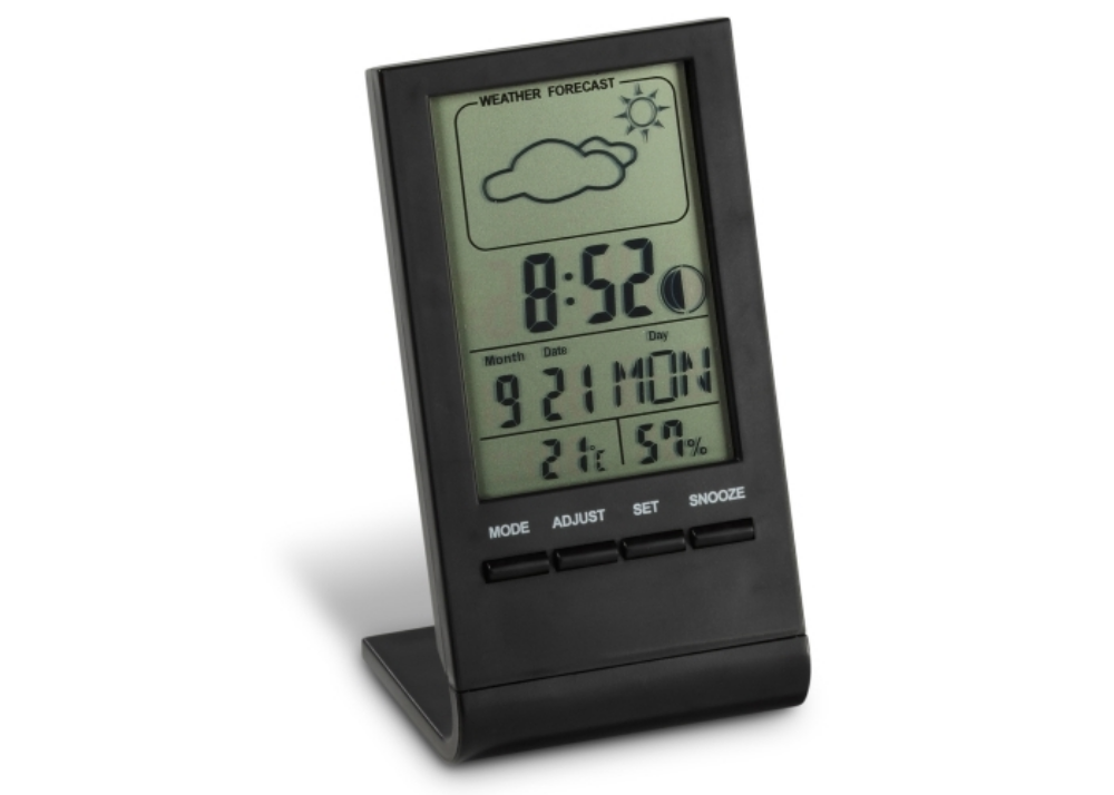 Electronic Weather Station and Clock - Leek