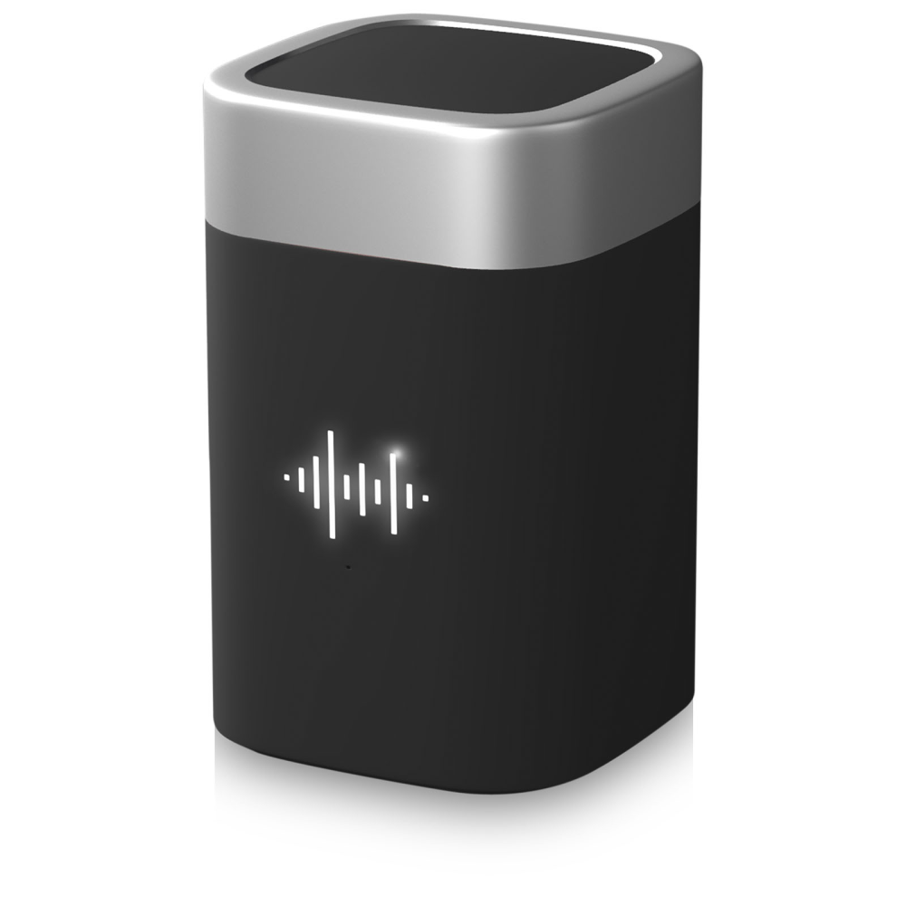 Wireless Logo Speaker - Puddington - Chillenden