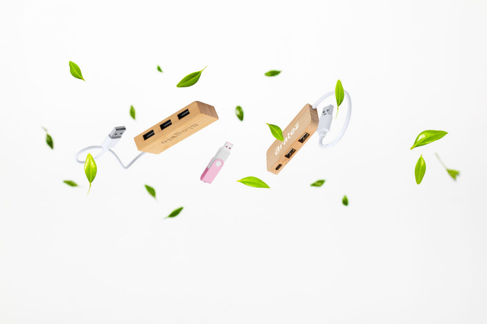 Bamboo USB Hub - Cerne Abbas - Amersham