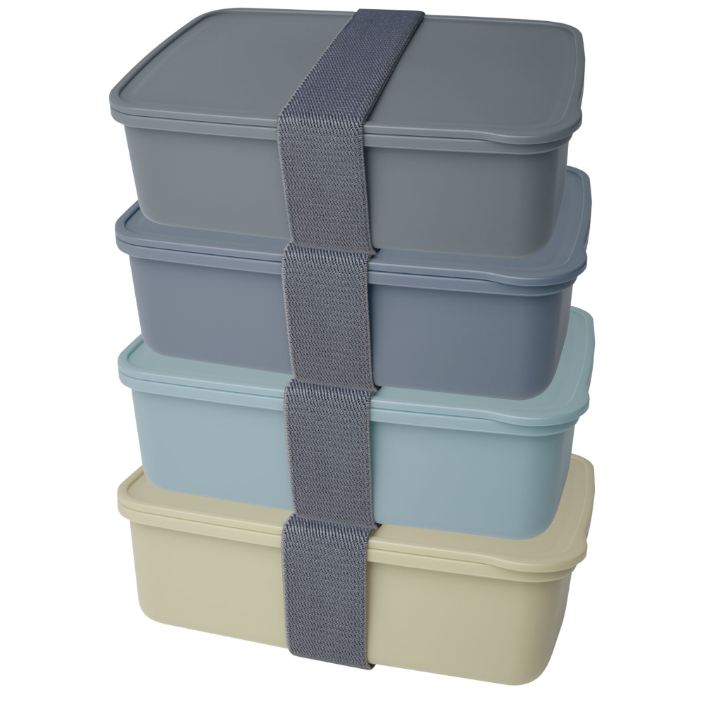 Dovi Recycled Plastic Lunch Box - Holbrook