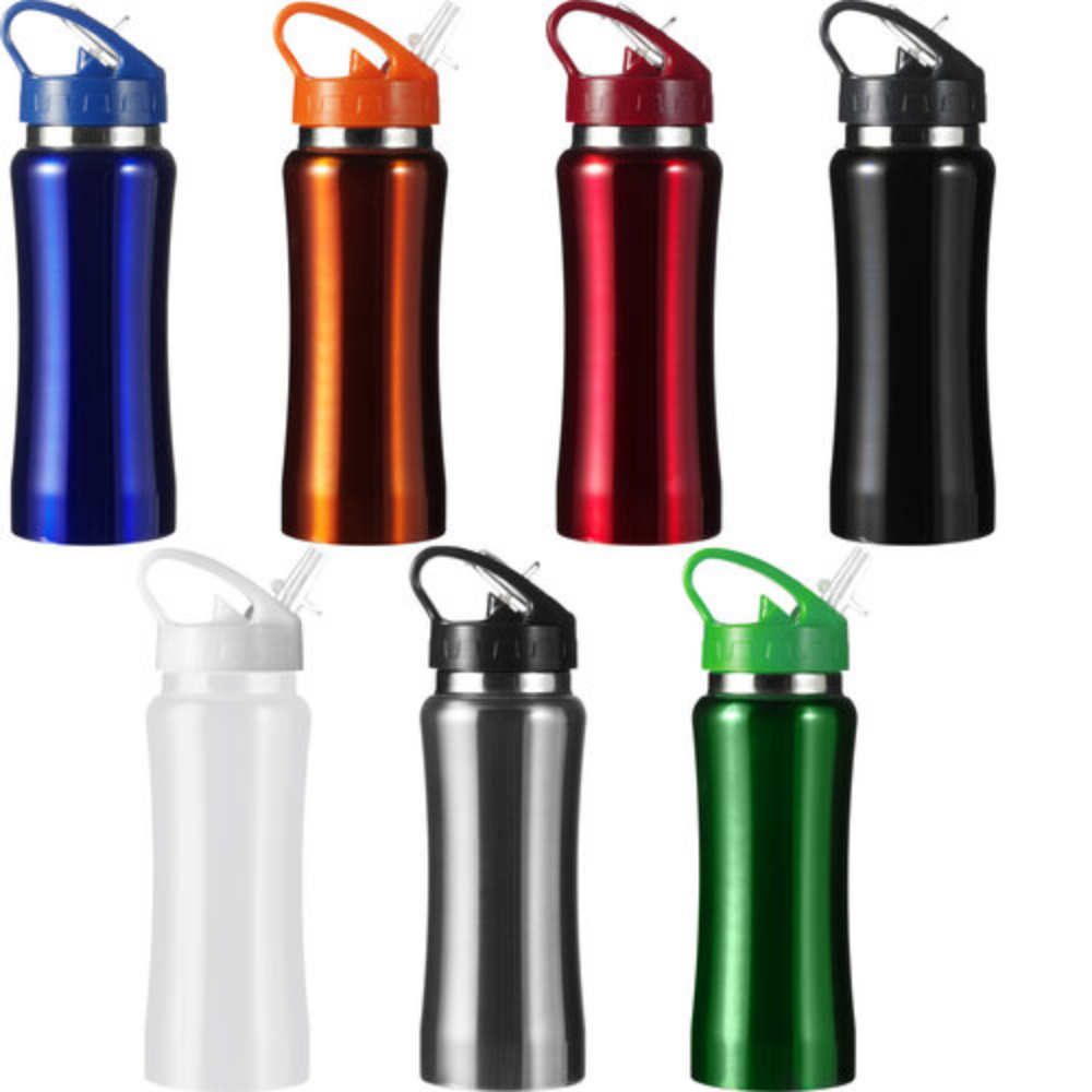 Stainless Steel Water Bottle with Foldable Drinking Spout - Chipping Campden