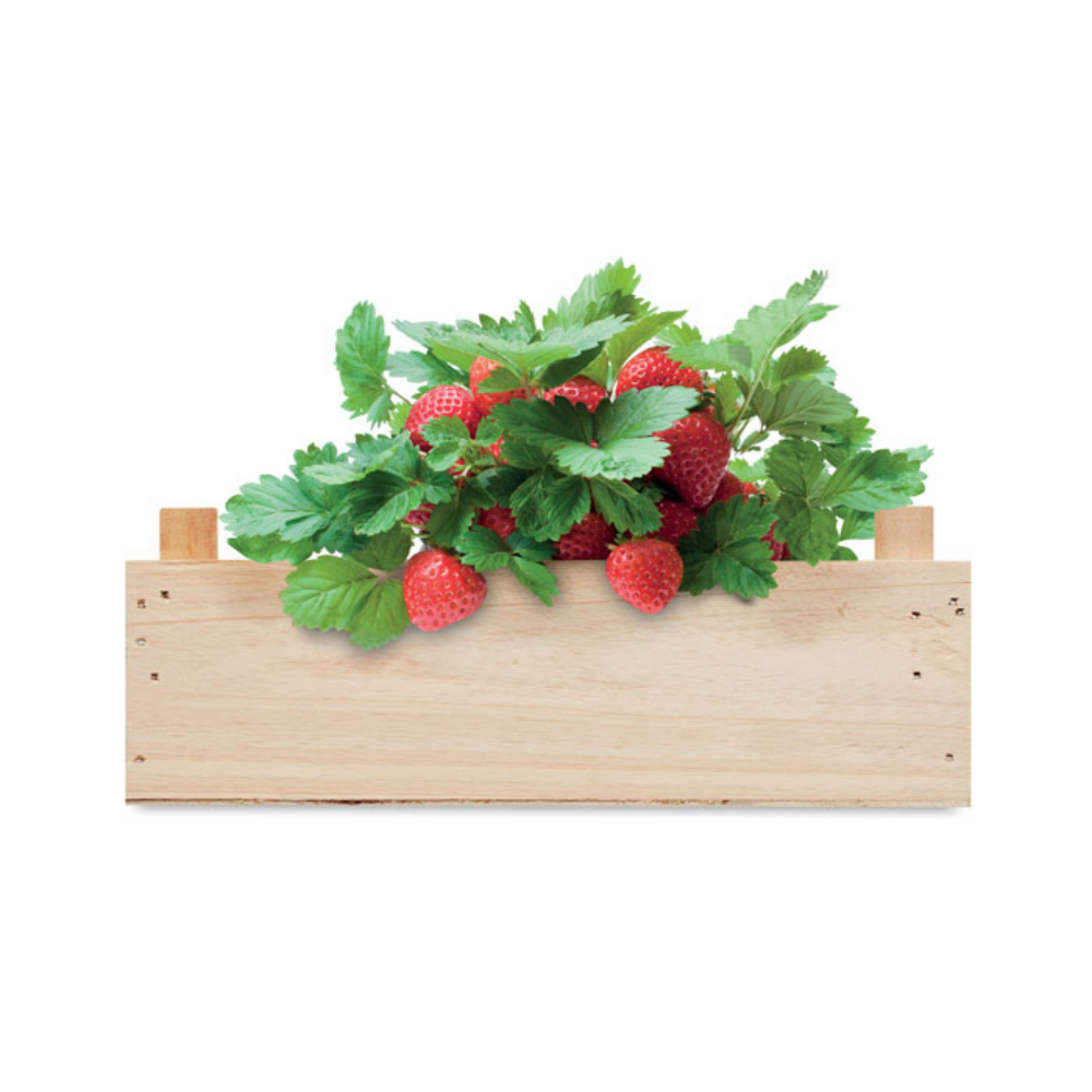 Personalisiertes Kistchen mit Erdbeersamen - Ichigo