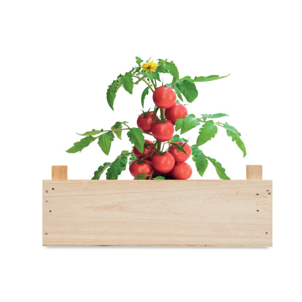 Caissette personnalisée avec graines de tomates - Tadam