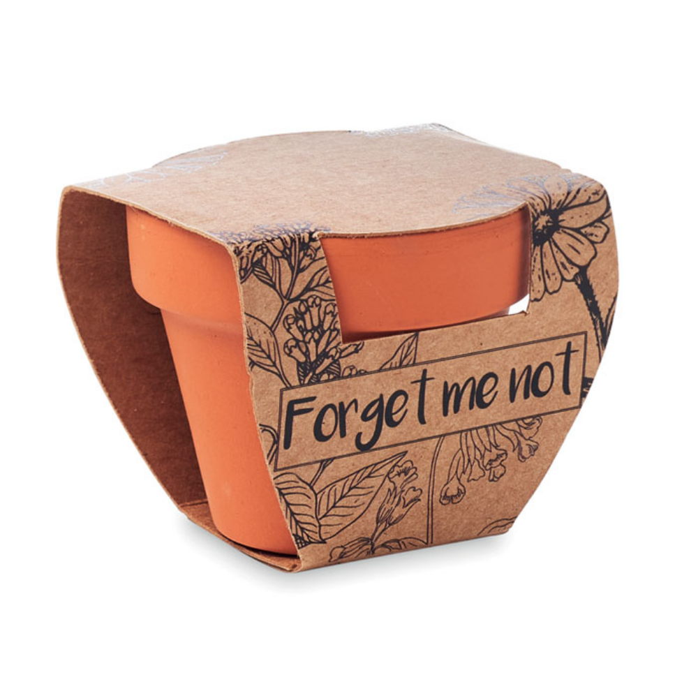 Terracotta Pot with 'Forget Me Not' Seeds and Soil Tablet - Kingston upon Thames