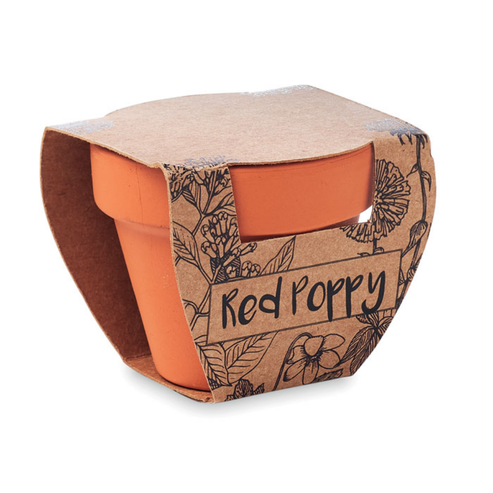 Terracotta Pot with Poppy Seeds - Inkberrow