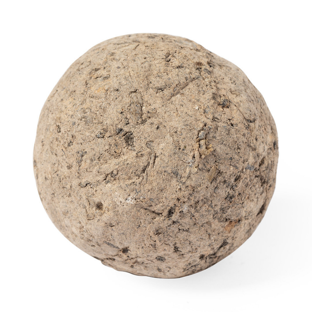 Wild Flower Seed Ball made in Europe, packaged in a Recycled Cardboard Box - Westgate-on-Sea
