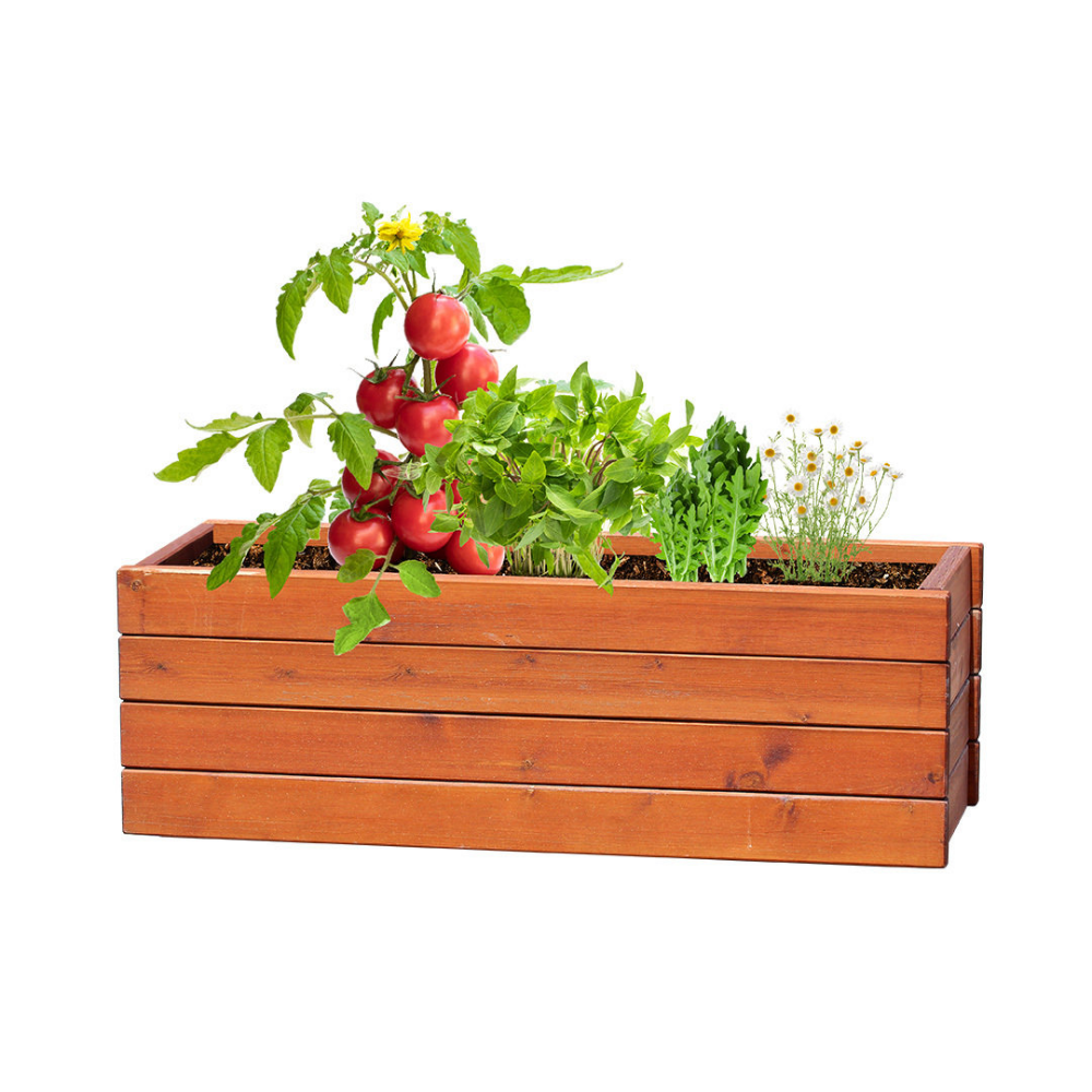 European Vegetable Garden Seed Kit - Acle
