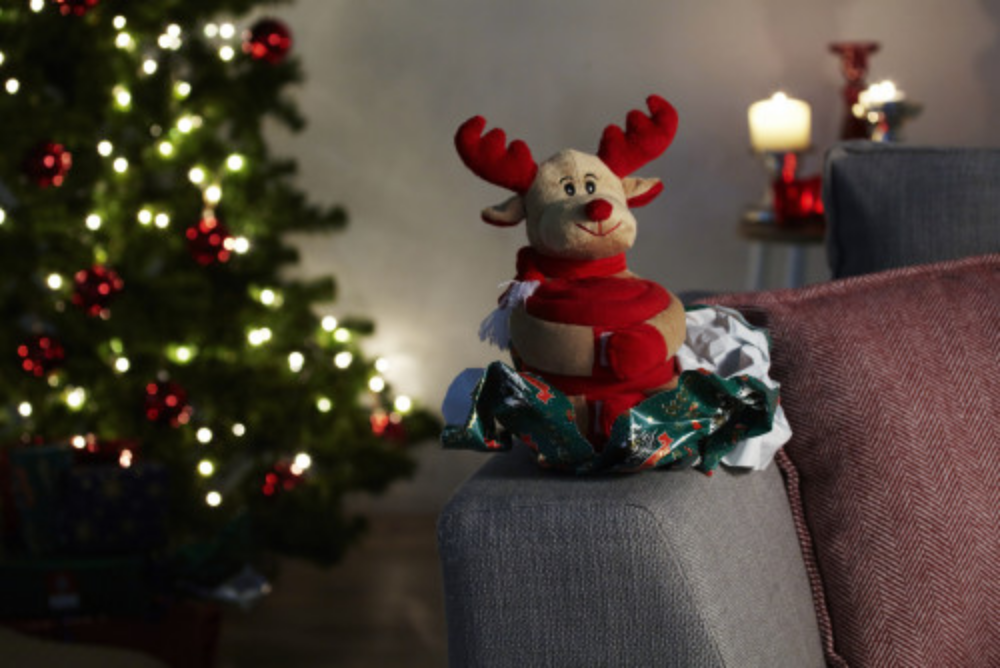 Personalisiertes Plüschtier mit Decke - Rudolf