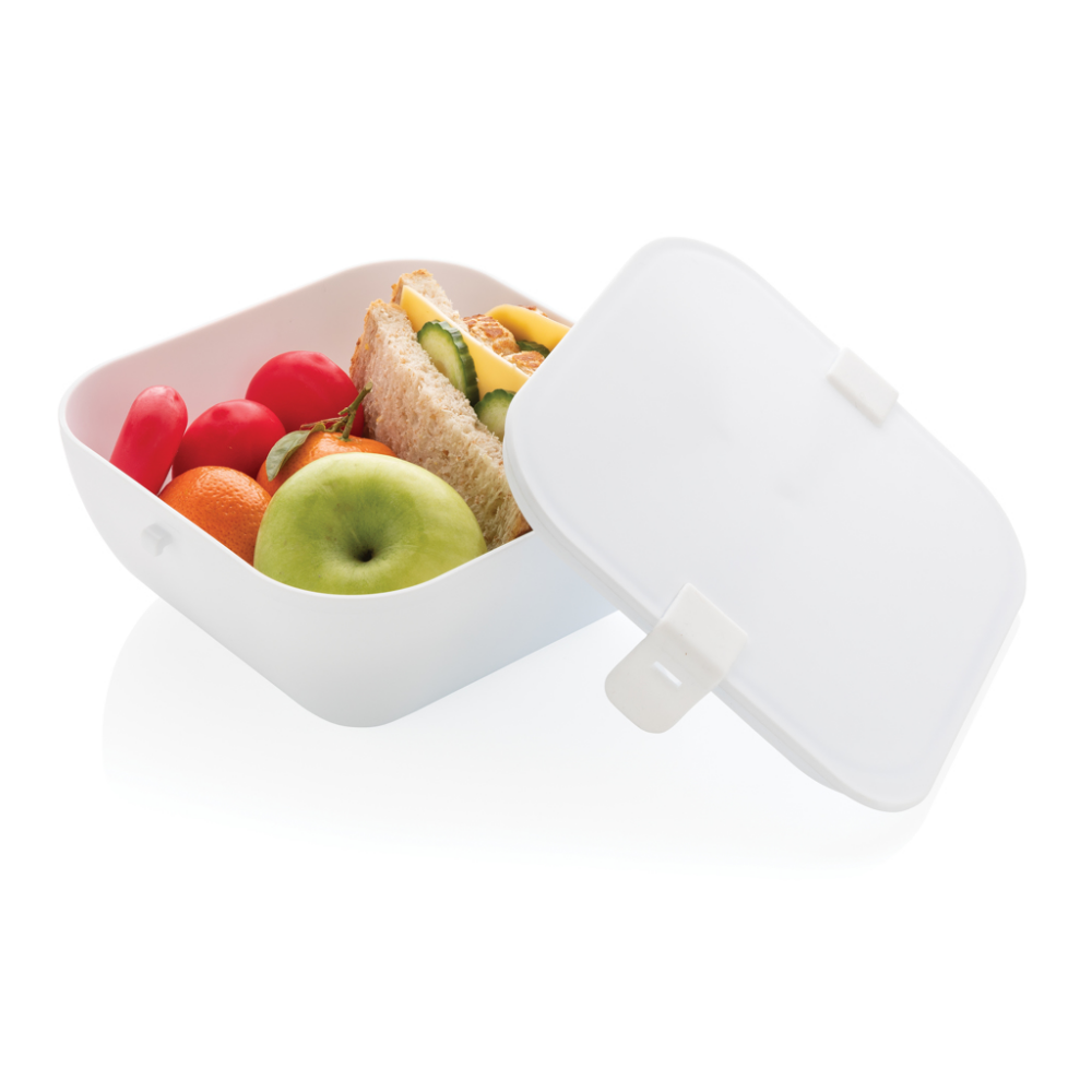 Square Shaped Lunchbox Safe for Microwave Use - Whitby