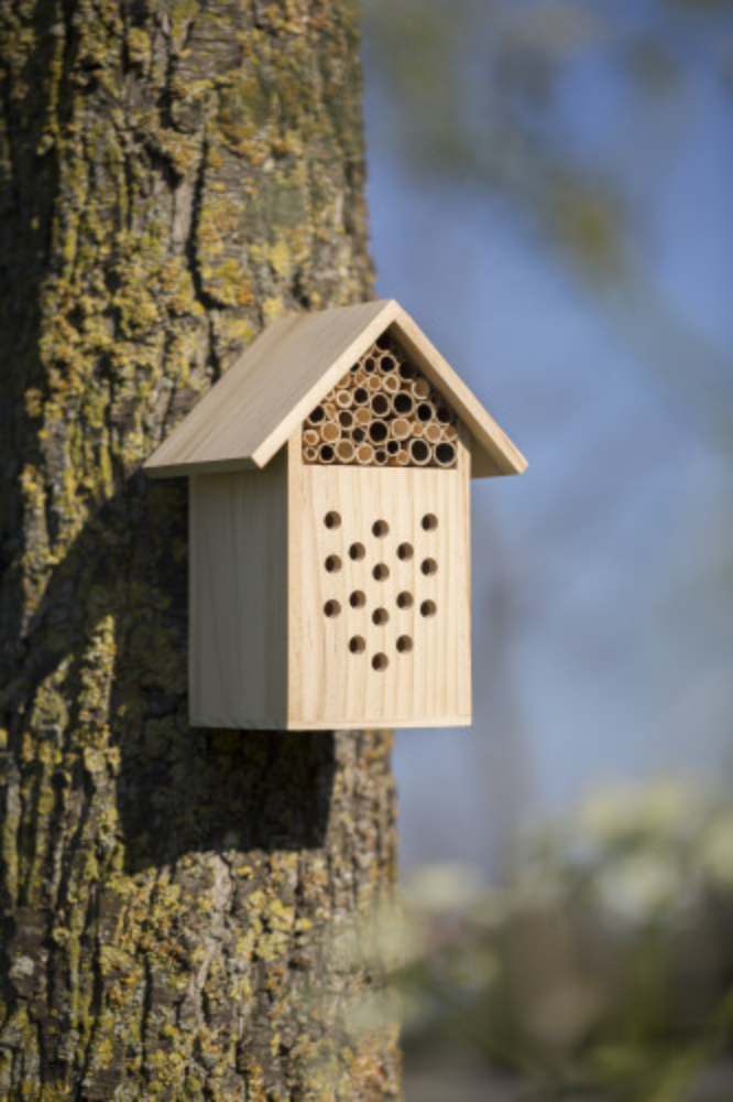 Abri pour abeilles en bois