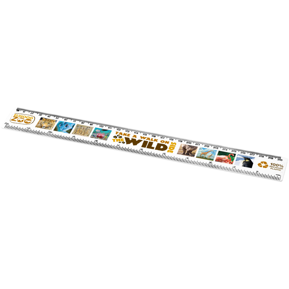 Recycled Plastic Dual-Scale Ruler - Abbey Lane End