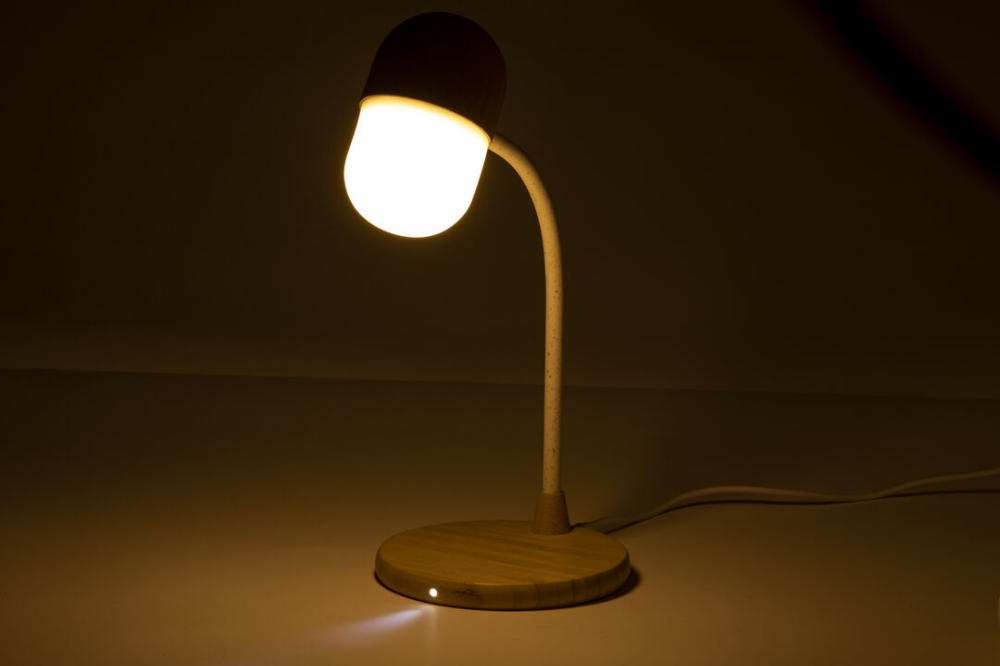 Multifunktion Lampe Lars