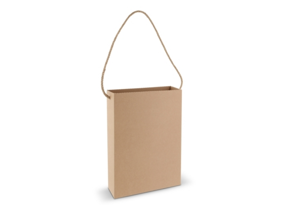 Vertical Cardboard Gift Bag with Jute Handles - Thanington