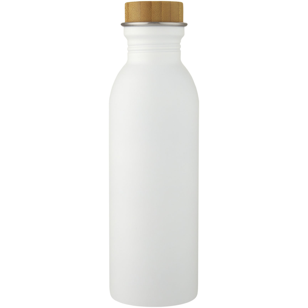 EcoWave Stainless Steel Water Bottle - Ashley Cross