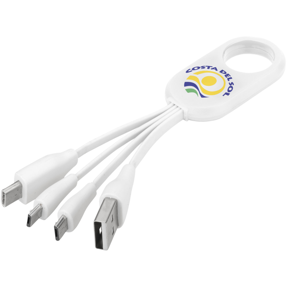 Troup 4-in-1 charging cable with a type-C tip - Stanton Fitzwarren - Batley