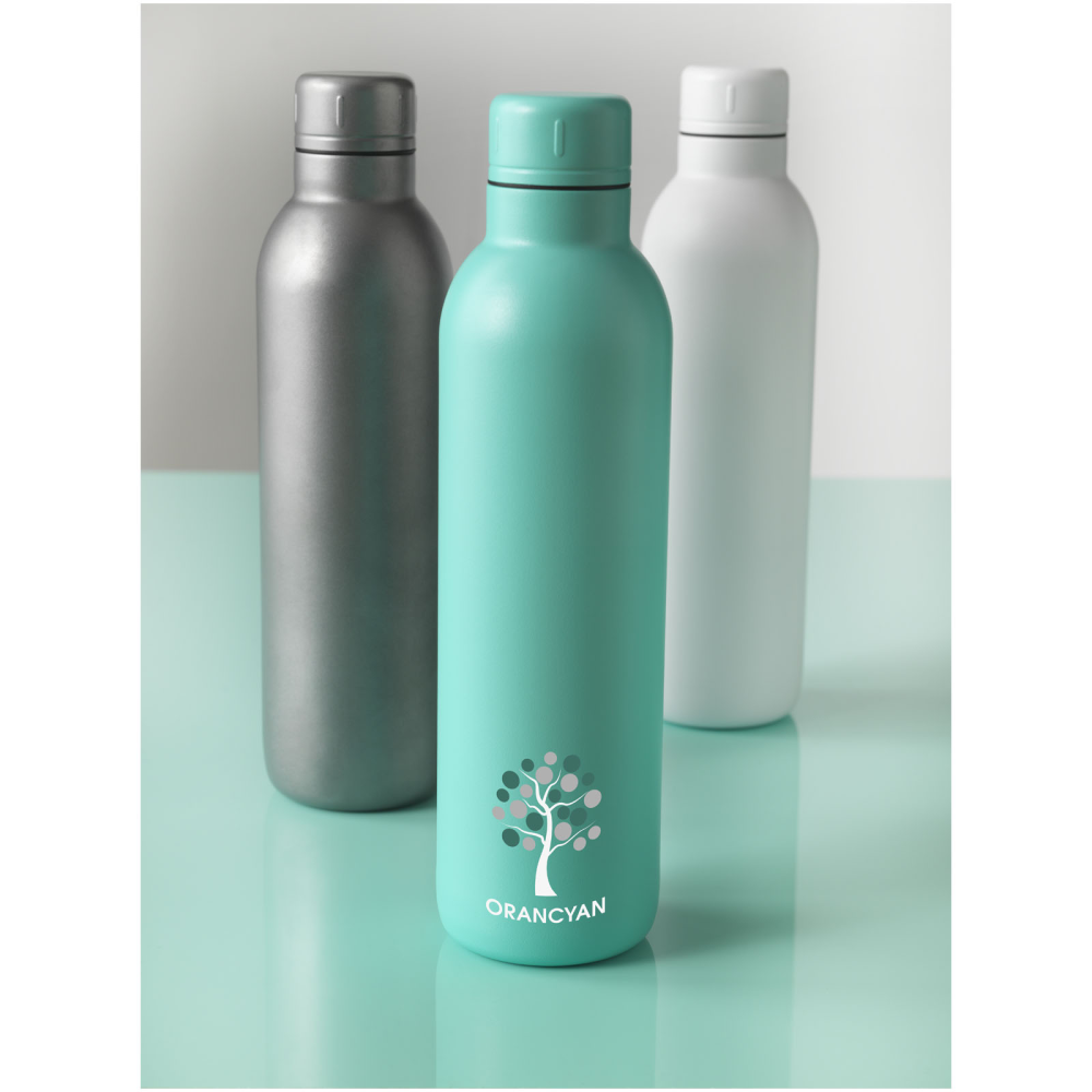 Insulated Stainless Steel Bottle - Alne