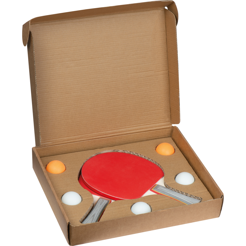 EcoPaddle Pro Table Tennis Set - Gawsworth - Fulmerstone