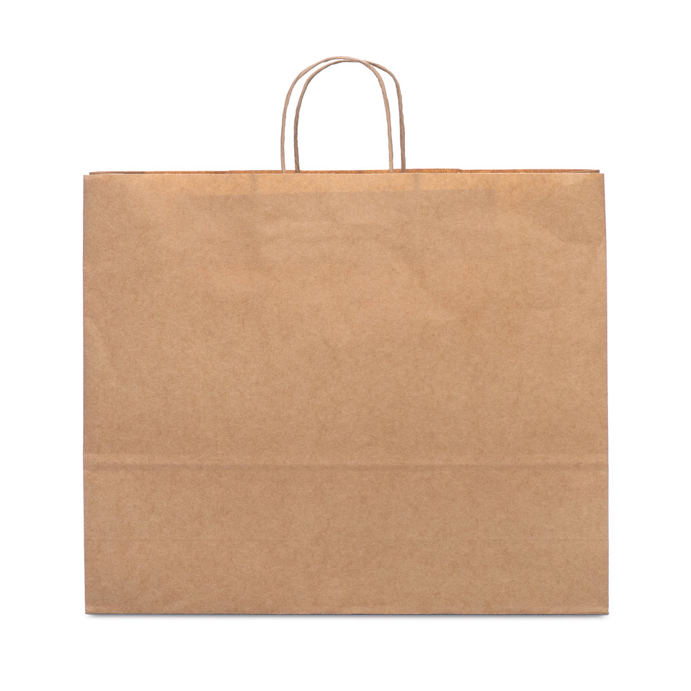 Kraft Paper Bag with Twisted Handles - Swinford - Dodington