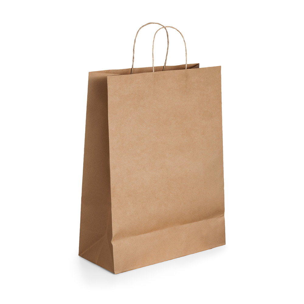Kraft Paper Bag with Twisted Handles - Bolsover