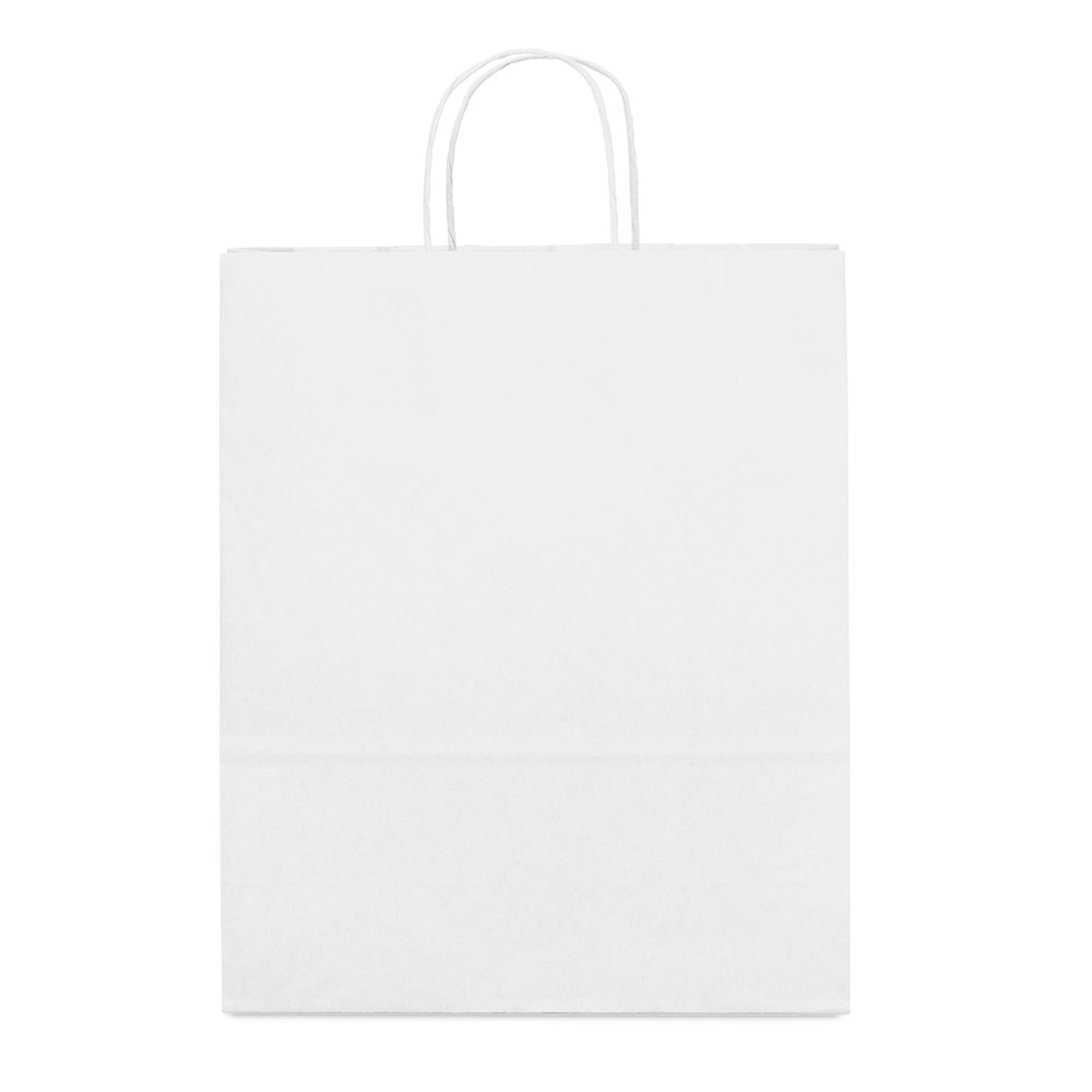 Kraft Paper Bag with Twisted Handle - Woolaston - Gosport