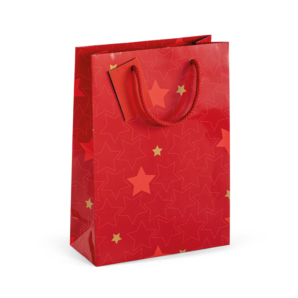 Customizable Coated Paper Bag - Bovey Tracey - Gosport