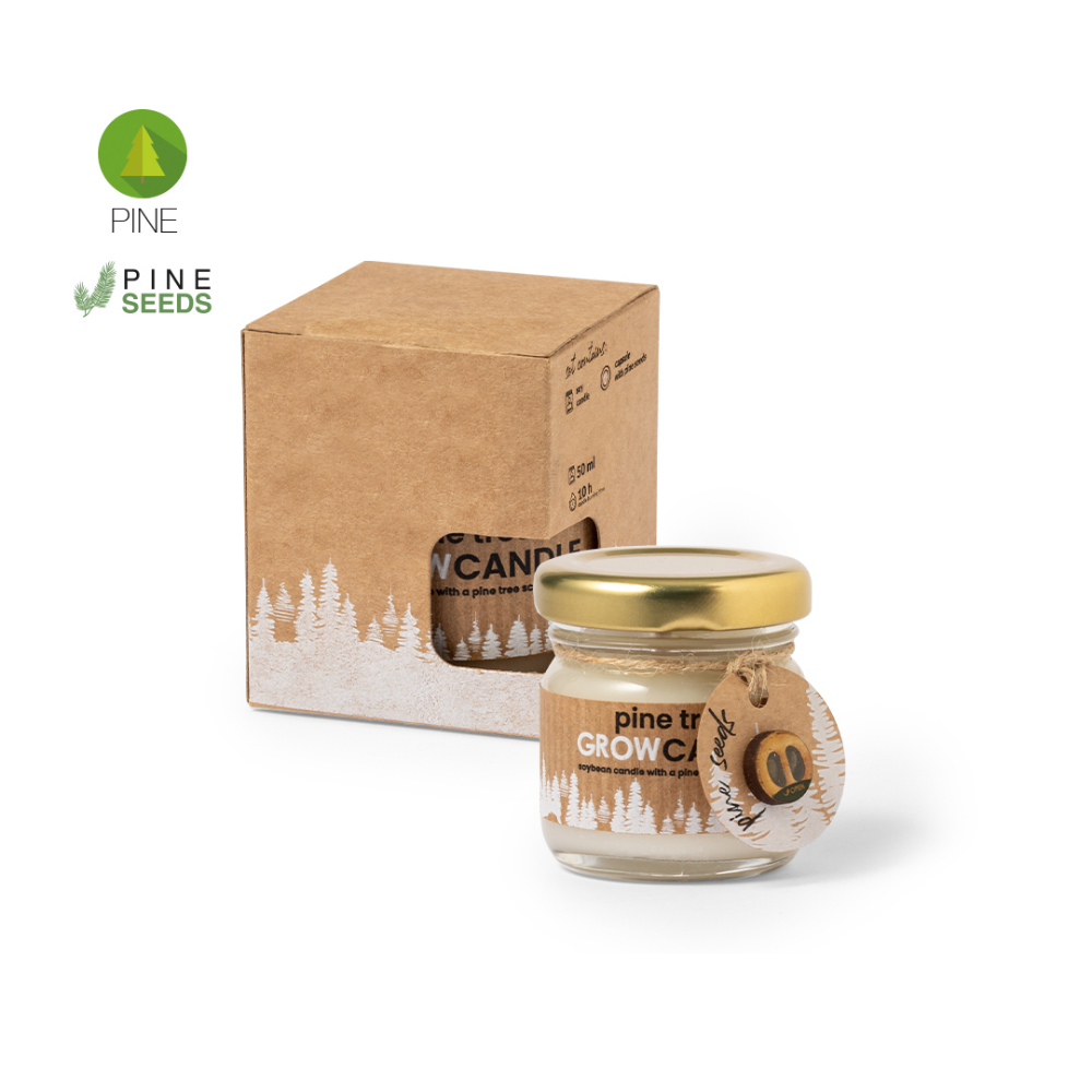 This is an eco-friendly candle made from pine seeds. The product is named 'Auldearn'. - Long Preston
