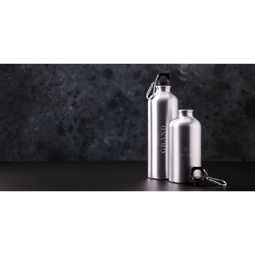 Recycled Aluminium Water Bottle with Carabiner - Aldingbourne