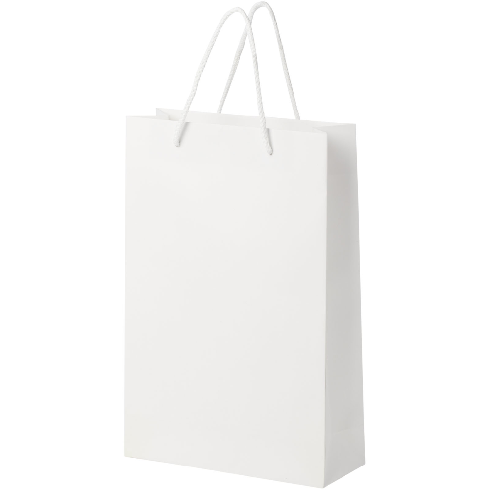 Handmade Matte Integra Paper Bag with Plastic Handles - Tewkesbury