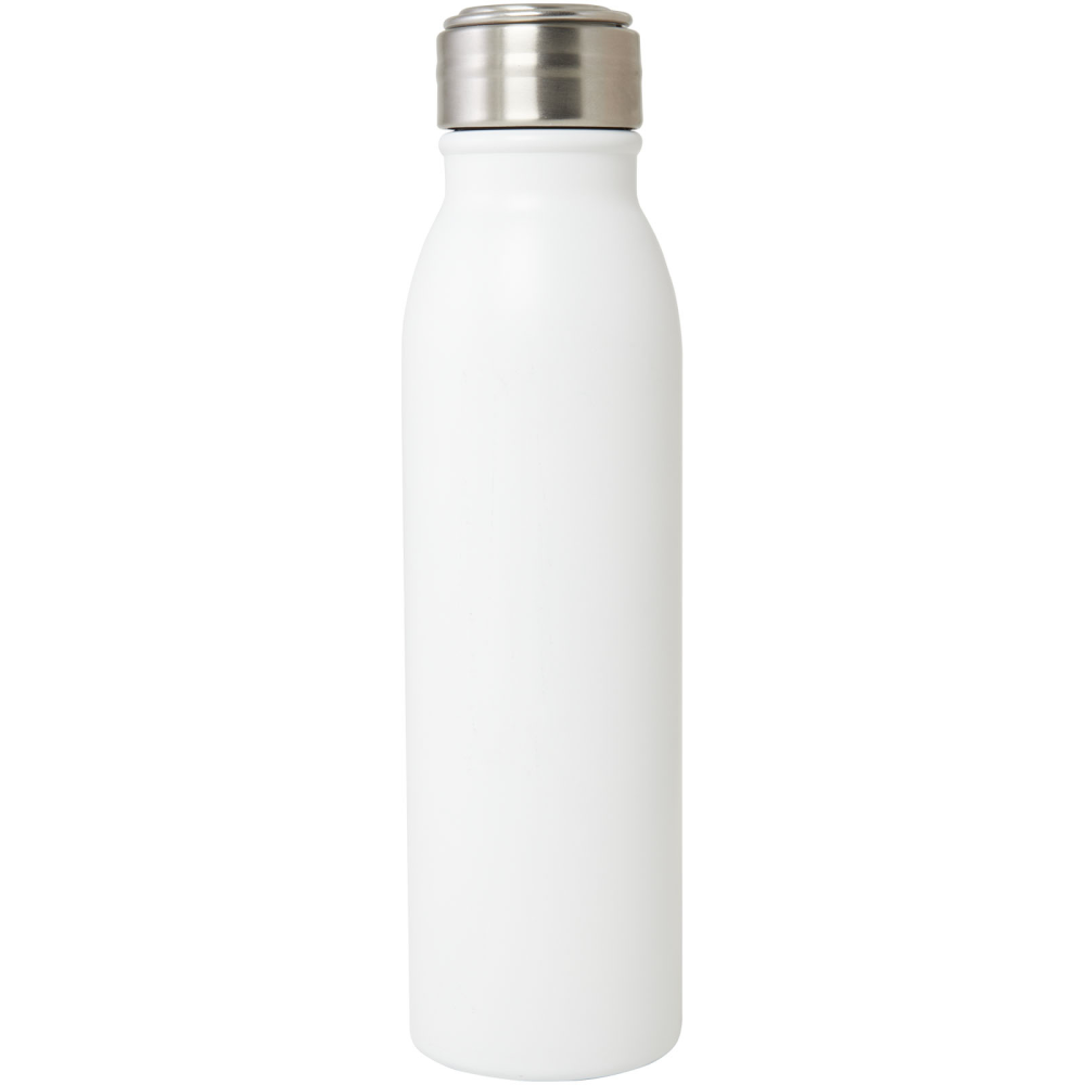 Harper 700 ml RCS certified stainless steel water bottle with metal loop - Waterlooville