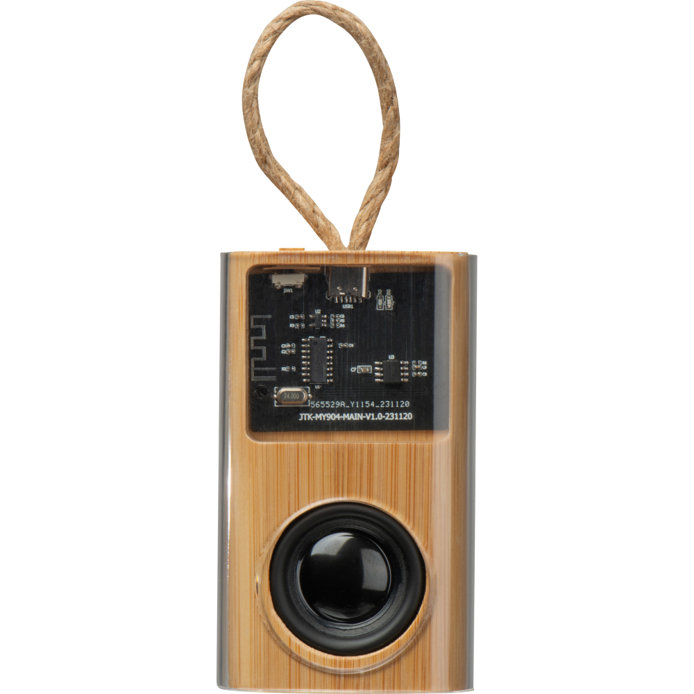 Transparent casing Bluetooth speaker - Doddington