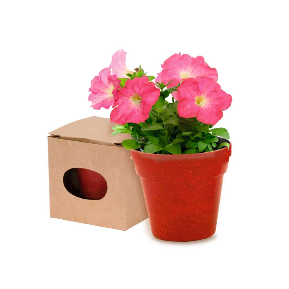 Flowerpot kweekset