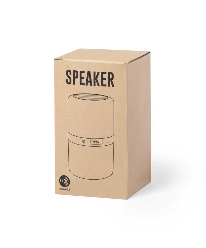 LEDSound speaker