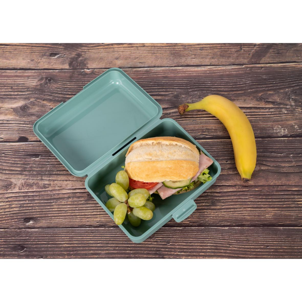 Shine Eco-Lunchbox groot
