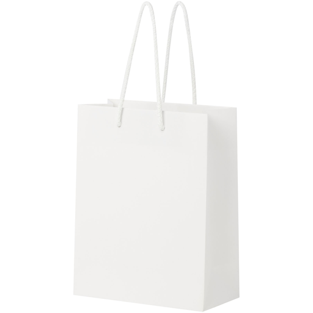 Handgemaakte 170 g/m2 integra papieren tas met plastic handgrepen - medium